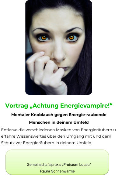 Bild Vortrag: Energievampire